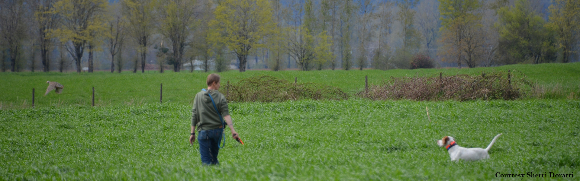 Bird in the air, is worth two in the bush!